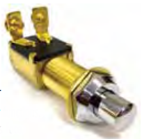 Sierra Brass Push Button Switch
