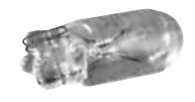 Marpac Wedge Base Bulb