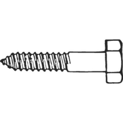 STAINLESS STEEL LAG SCREWS